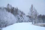 IMG_0782-
