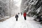 IMG_0866-