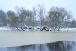 IMG_0908-
