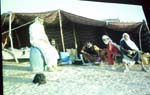 P2125850-