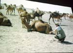 P2125856-