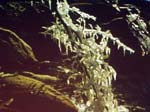 P2265965-